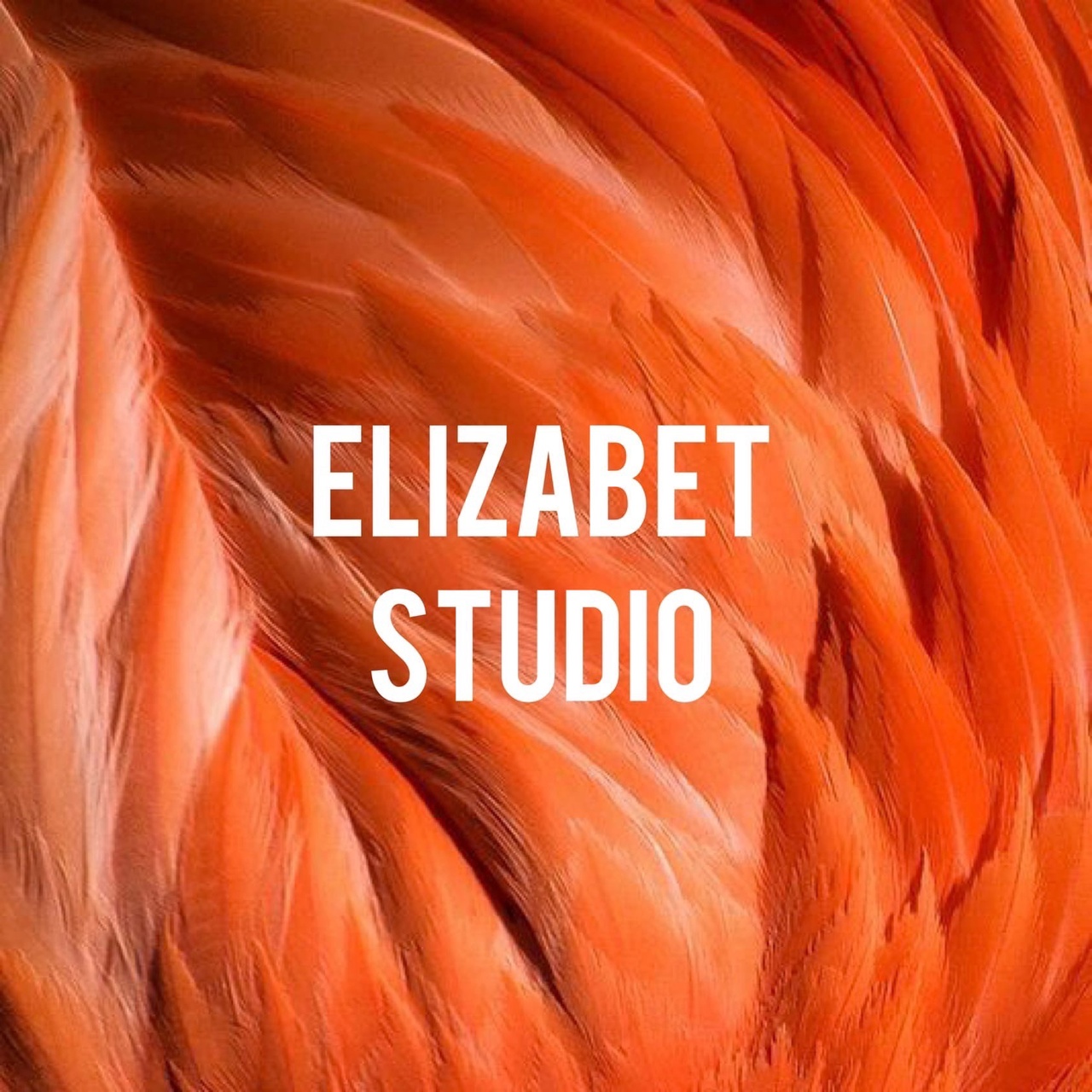 Elizabet Studio